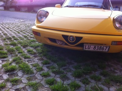 Büsi.JPG (139.98 KiB) 8979 mal betrachtet Büsi.JPG