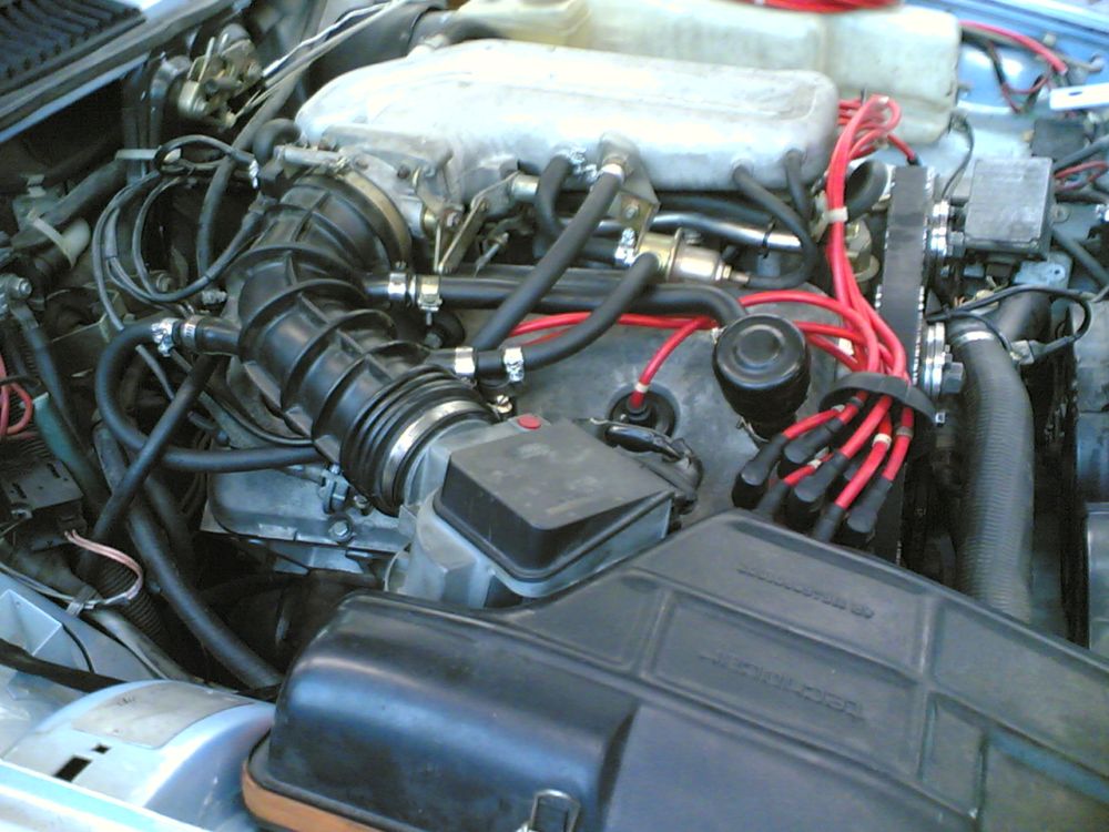 10122005(001)web.jpg