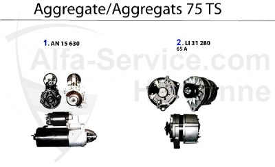 AGGT75TS.jpg