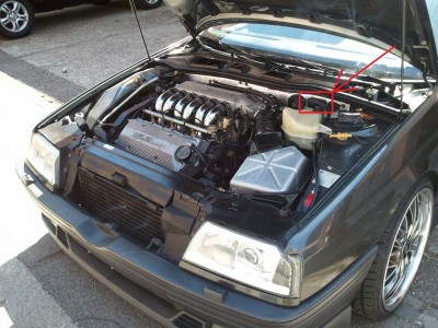 Alfa Motor.jpg
