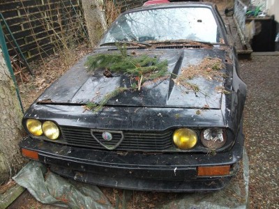 DSCF2173.JPG