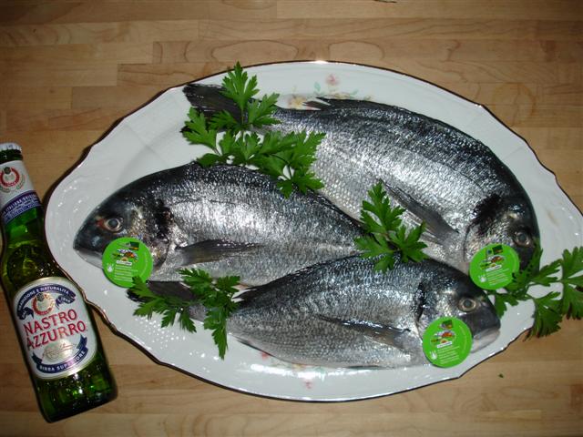 DSC01535 (Small).JPG