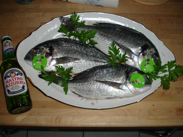 DSC01534 (Small).JPG