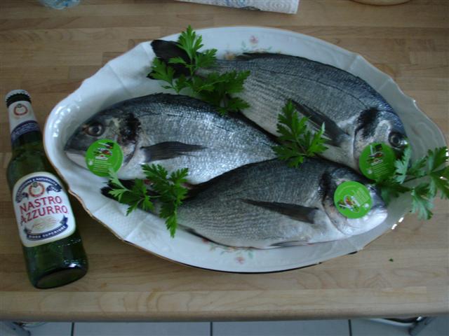 DSC01533 (Small).JPG
