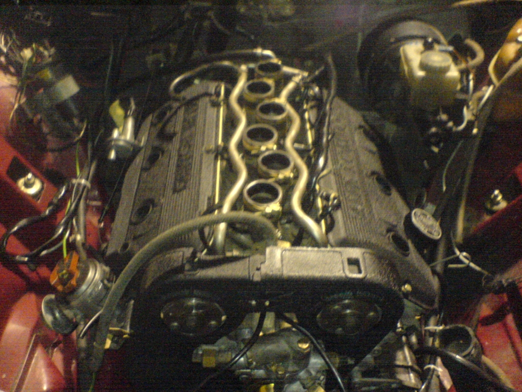 DSC00582.JPG