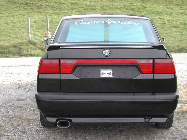 alfa 155 004_bearbeitet-1.jpg