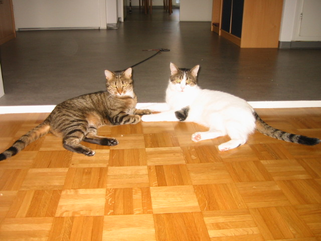 149-4928_IMG.JPG