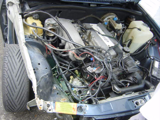 DSC00566.JPG