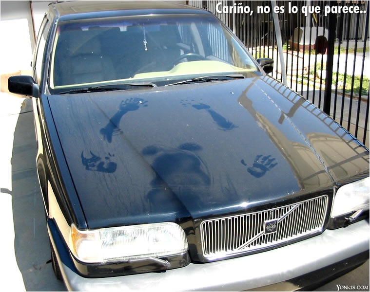 69200423337.jpg