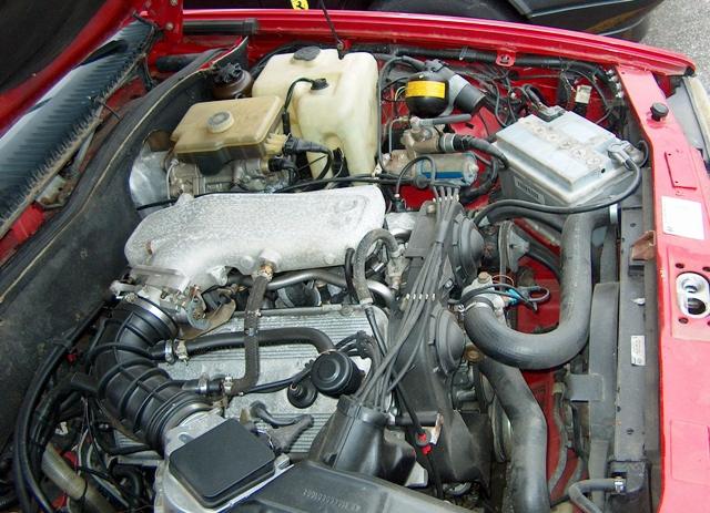 75qv_03.jpg