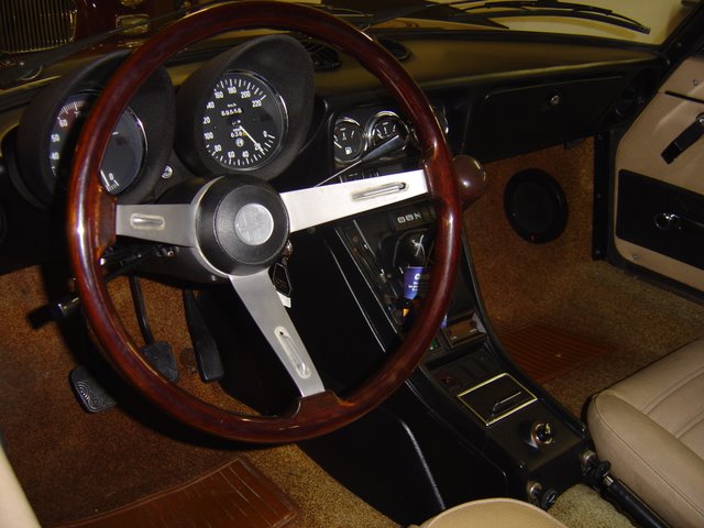 Spider_05-1.JPG