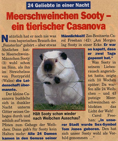 bild119[1].jpg