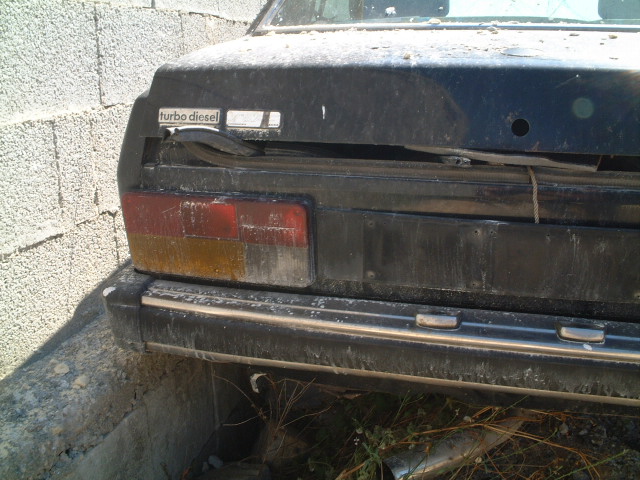 Bild 223.jpg