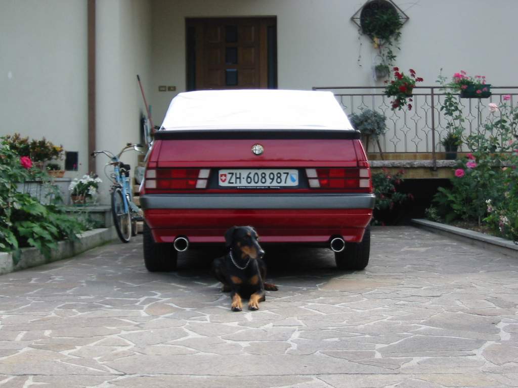 dobi.jpg