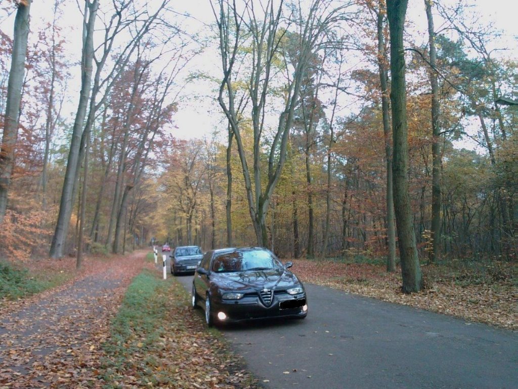 IMAG0180.jpg