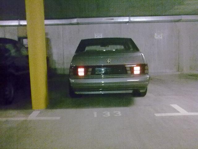 Picture 1017.jpg